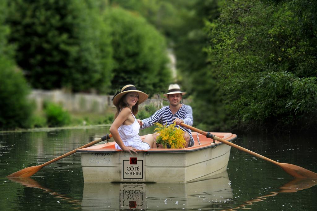 Cote-Serein - Domaine De Venoise Noyers-sur-Serein Exteriér fotografie